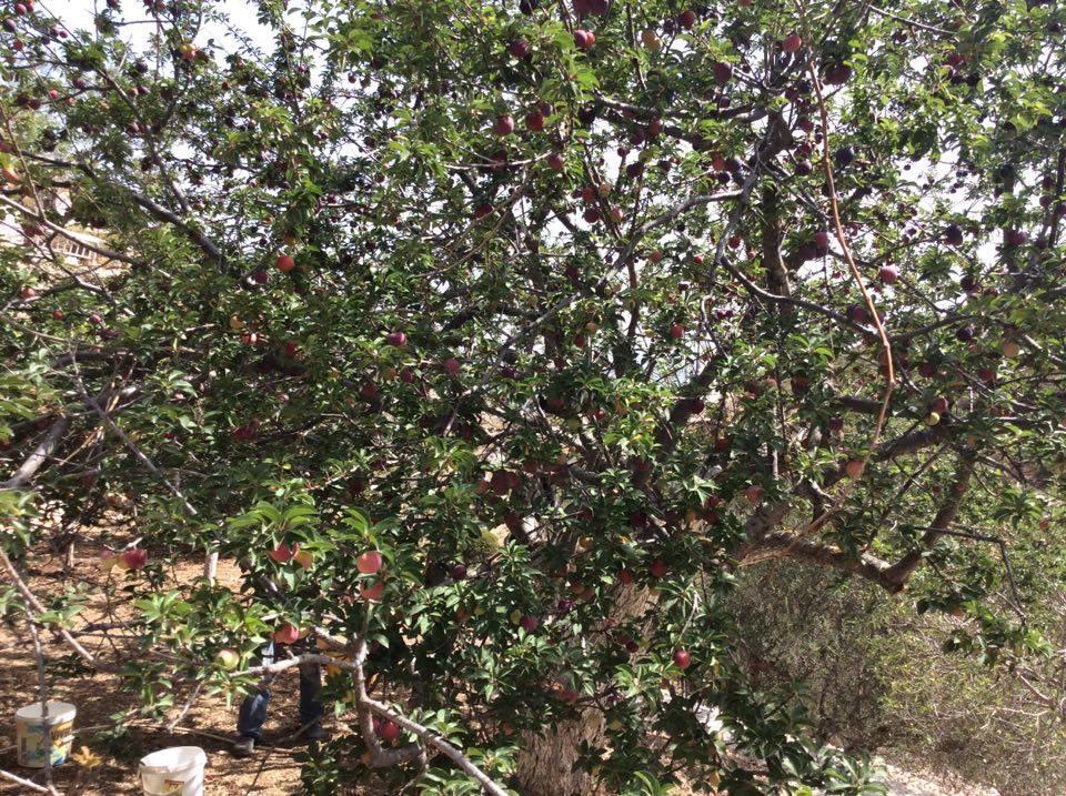 La Villa di Zazopetra Menetaí Esterno foto