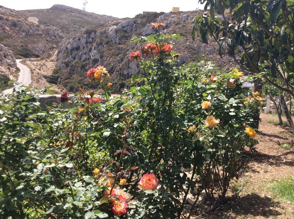 La Villa di Zazopetra Menetaí Esterno foto