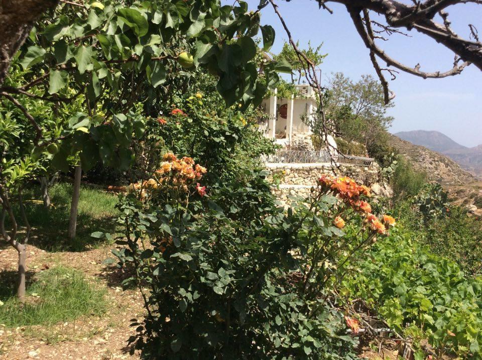 La Villa di Zazopetra Menetaí Esterno foto