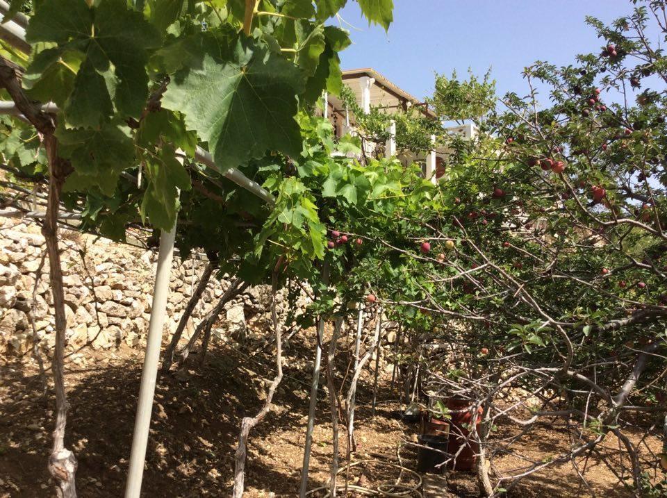 La Villa di Zazopetra Menetaí Esterno foto