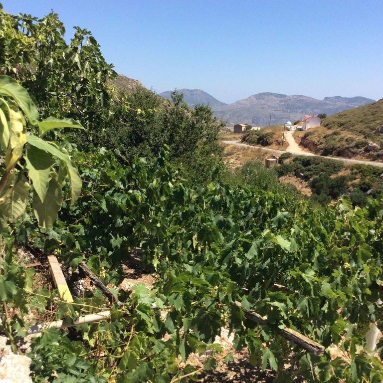 La Villa di Zazopetra Menetaí Esterno foto